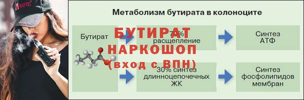 шишки Покачи