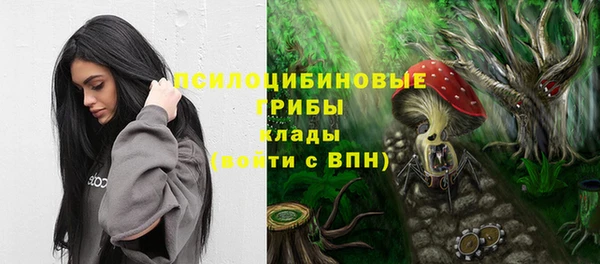 шишки Покачи